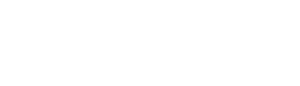 VACUUMANDBLOWER.COM WHITE LOGO