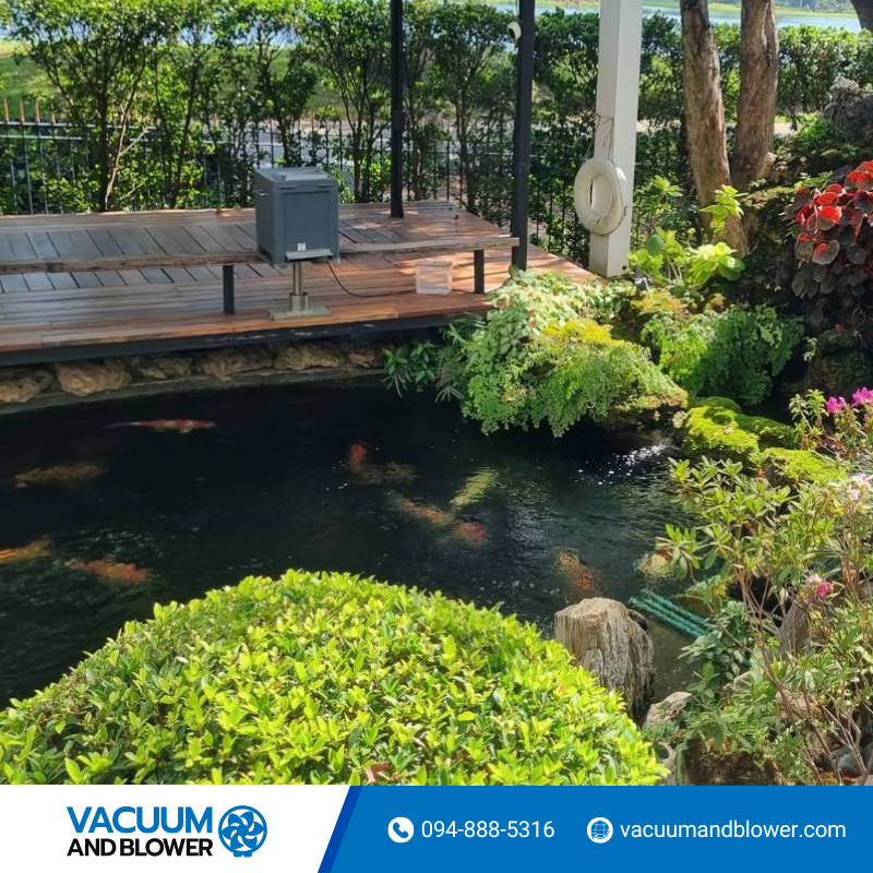 install-hiblow-fish pond
